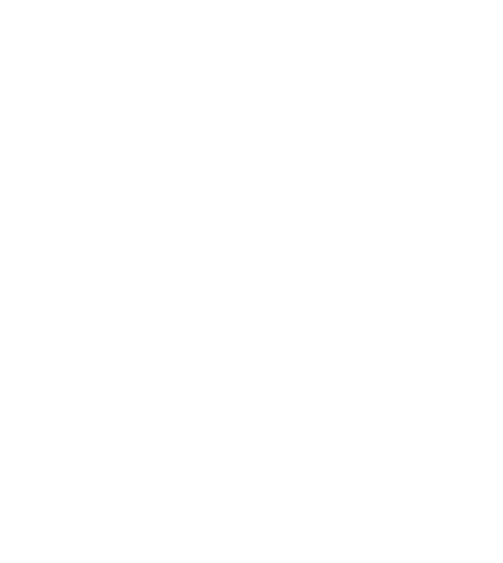 highlight icon
